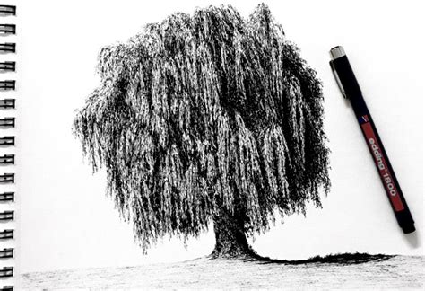 Image result for How to Draw a Simple Large Tree