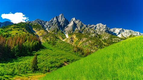 Wallpaper rocks, slope, valley, trees, landscape hd, picture, image