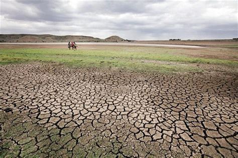 ओडिशा के नौ जिले, 5633 गांव सूखा प्रभावित घोषित - nine districts of ...