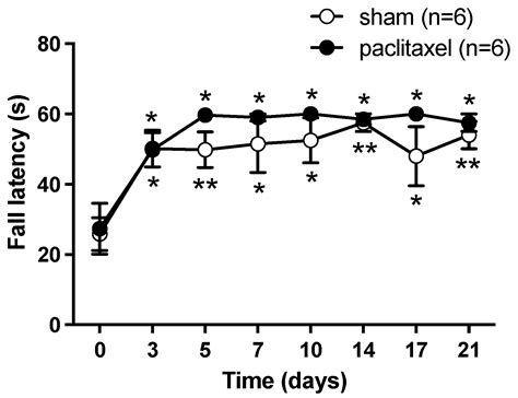 Rosuvastatin Synergistically Enhances the Antinociceptive Efficacy of ...