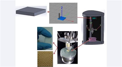 Marmara Üniversitesi öğrencilerinden ‘Yapay Kıkırdak’ projesi – Sözcü