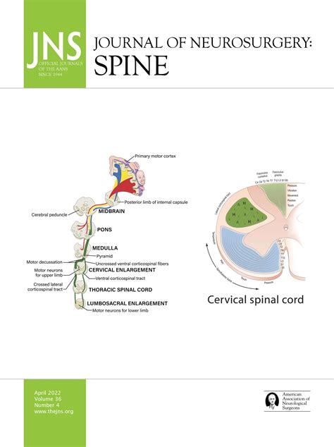 A critical reappraisal of corticospinal tract somatotopy and its role ...