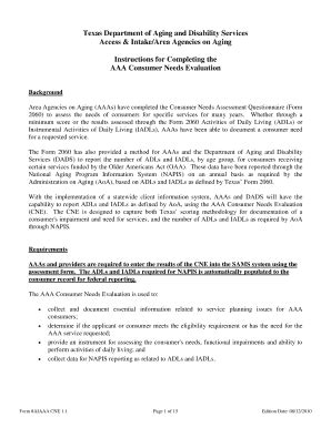 Fillable Online dads state tx Instructions for Completing the AAA ...