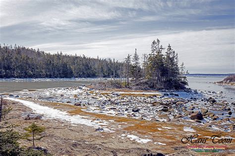 Image result for Chebucto CommunityNET