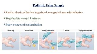 Image result for SetValue Update in Python