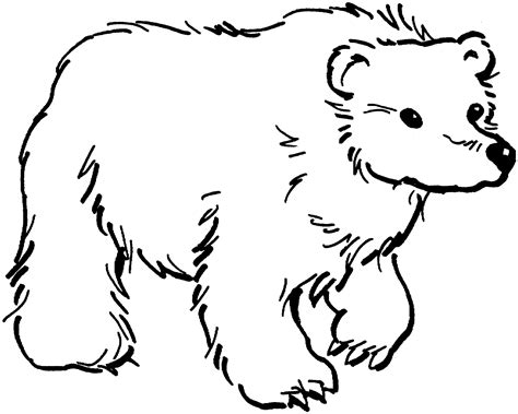 Printable Bear Coloring Pages
