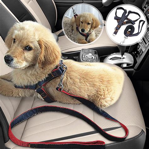 Dog Harness Seat Belt Loop at Stanley Blake blog