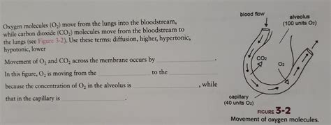 Image result for Diffusing Capacity of Oxygen