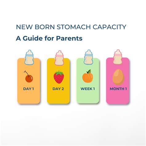 The Baby First Box: Hospital Bag, Baby Gifts & Baby Hampers