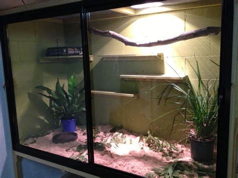 Setting Up Python Enclosure 的图像结果