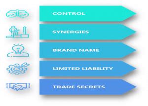 Wholly Owned Subsidiary or Subsidiary in India - Enterslice