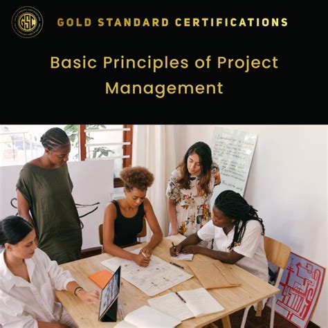 Basic Project Management Principles 的图像结果