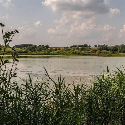 LINFORD LAKES NATURE RESERVE - All You Need to Know BEFORE You Go (with ...