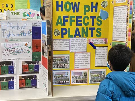 Milk Plant Science Fair Project Protein Content Of Different