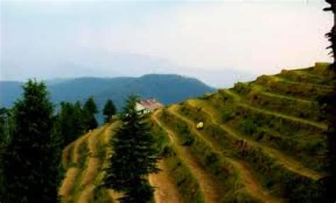 Fagu Tourism (2026) India - Best Places to Visit in Fagu, Fagu Travel ...