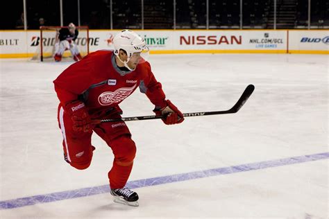 Image result for Datsyuk