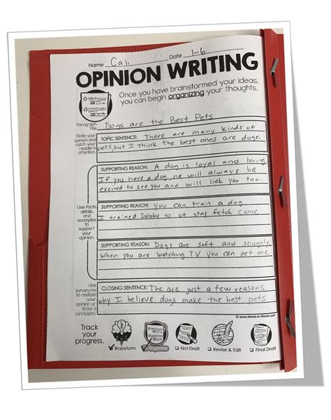 Image result for Writing Paragraphs Trending