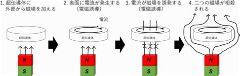 Introduction to Python Coding に対する画像結果