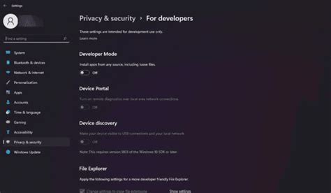 Install Windows 11 Developer 的图像结果