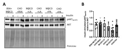 Interplay of Dietary Fatty Acids and Cholesterol Impacts Brain ...