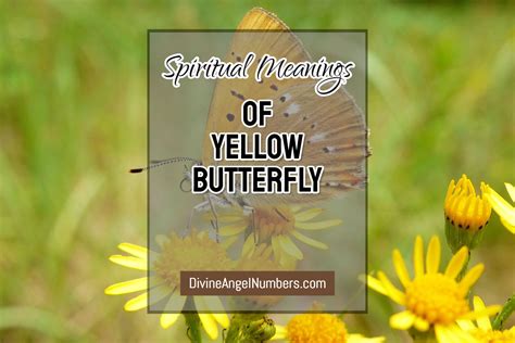 Yellow Butterfly Meaning