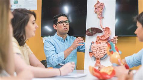 Anatomy in Medical School: Study Tips from an Anatomy TA | Elite Medical Prep