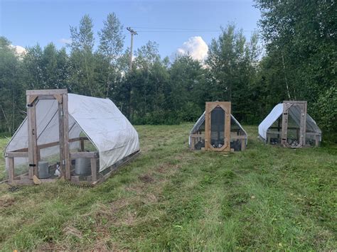 Our Pasture-Based System — Rocky Hill Farm