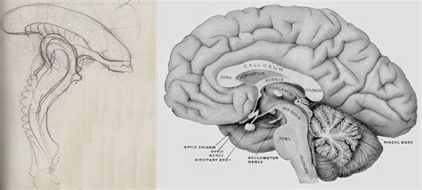 Image result for Alien Brain Drain
