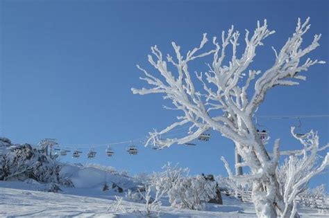 THE BEST Snowy Mountains Hotels with Outdoor Pool 2025 (with Prices)