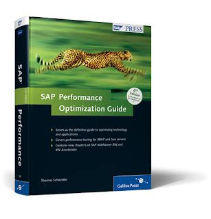 Image result for SAP Performance Optimization