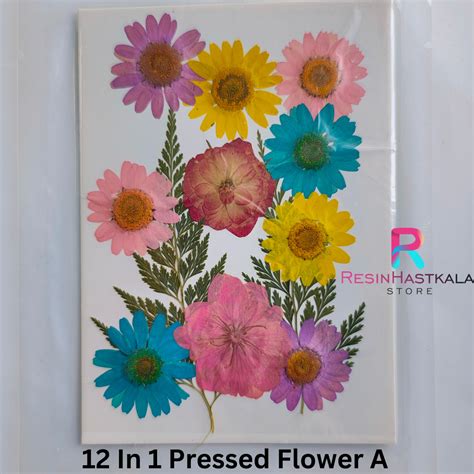 12 In 1 Pressed Flower A – Resinhastkala Store