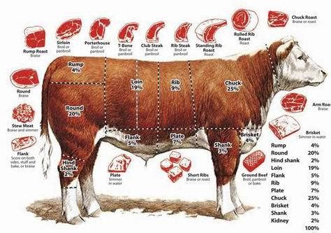 Image result for Beef Processing Process