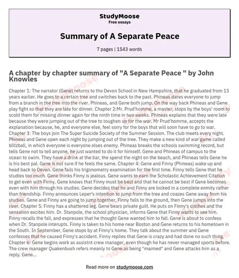 Summary of A Separate Peace Free Essay Example