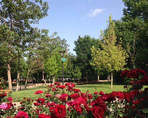 THE 30 BEST Places to Visit in Mashhad (2026) - Must-See Attractions