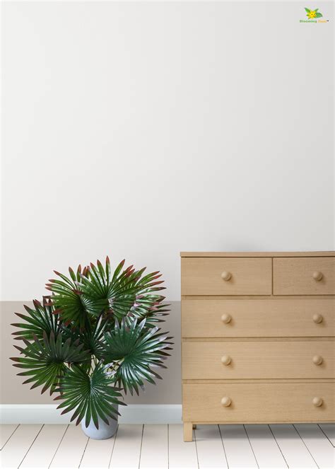 Artificial Fan Palm Plant – 65 cm, 12 Patterned Green Red Leaves, with ...