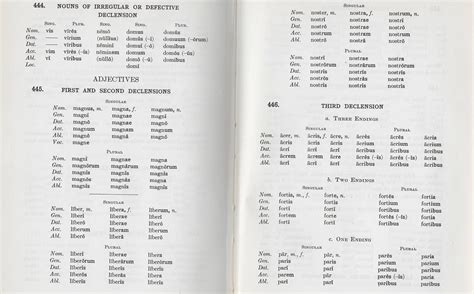 Nouns & Adjective Declensions/Paradigms — Latin for Rabbits