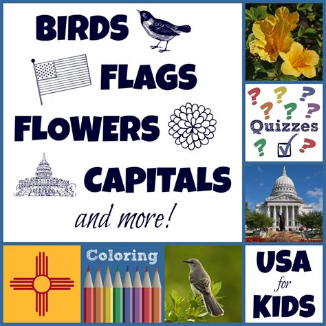 USA Facts for Kids Learn About the United States of America