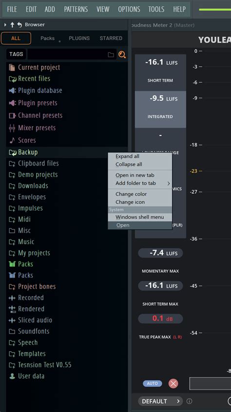 Image result for FL Studio File History