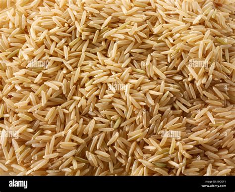 Whole Grain Basmati Brown Rice at Katrina Bates blog