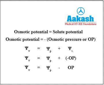 Plant Water Relations: Water Potential, Solute Potential, Pressure ...