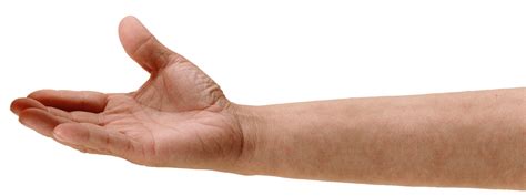 Hand PNG Transparent Images