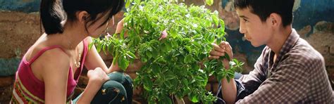 Film Review: The Botanist’s Poetic Meditation on Solitude in China’s ...