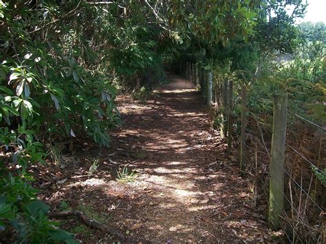 CLIFF WALK - All You SHOULD Know Before Going 2026 (with Photos ...