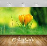 Avikalp Exclusive Awi1268 Tulip Full HD Wallpapers for Living room, Ha ...