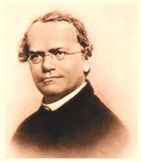 Heredity and hereditary changes and Gregor Johann Mendel Information ...