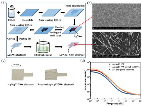 Stretchable Ag/AgCl Nanowire Dry Electrodes for High-Quality Multimodal ...