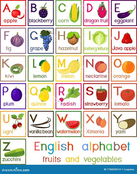 English Alphabet with Fruits and Vegetables Stock Vector - Illustration ...