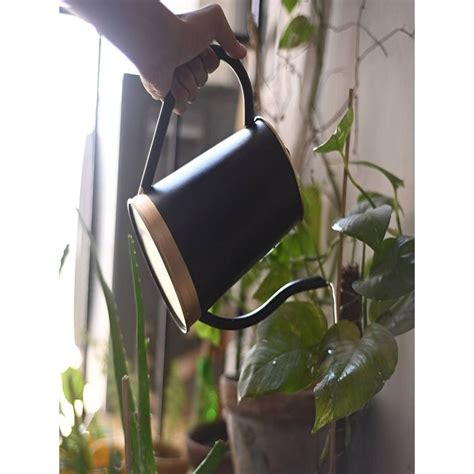 Buy Ecofynd Black Watering Can 1.5 Litre Online
