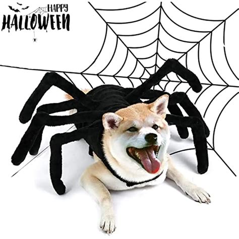 Dog-Halloween-Costume-Dog-Cat-Halloween-Spider-Costume-Pet-clothes ...