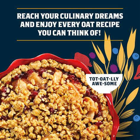 Quaker Oats 100 Natural Whole Grain Oatmeal Old Fashioned Oats Old